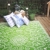 Fab Hab - Murano - Limettengrün & Creme - Teppich/ Matte für den Innen- und Außenbereich (120 cm x 180 cm) - 6