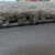 Shaggy Teppich Hochflor Langflor Wohnzimmer Teppiche XXL Uni Braun Taupe, Grösse:10x10 cm Musterstück - 2
